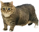 :Ethel: