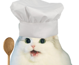 :cattocuistot: