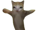 :Mimix: