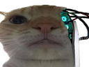 :cyborgchak2: