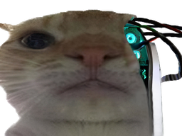 :cyborgchak2: