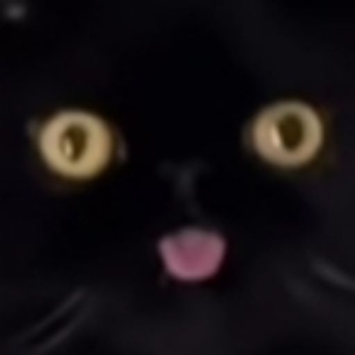 PUITsansFOND