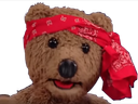 :nounours_bandeau2: