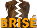 :teddibrise: