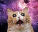 :Cosmiccat: