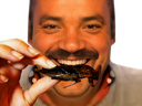 :Insected: