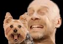 :AlainPoupetoGif: