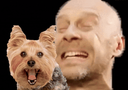 :AlainPoupetoGif: