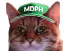 :ChatZoomMDPH: