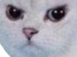 :tahcem: