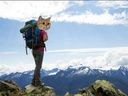 :chatvoyageur:
