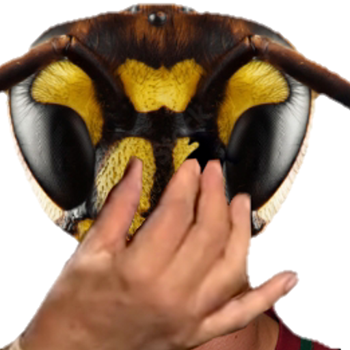 SucerUnFrelon