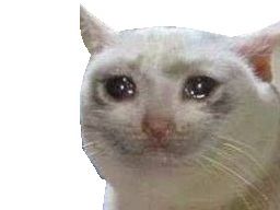 :chat: