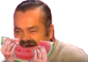 :mange_pasteque: