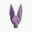 Photo de profil de Beerus