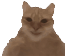 :chatangle2: