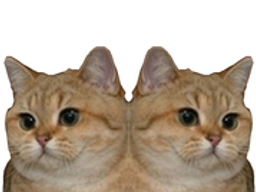 :chat_double: