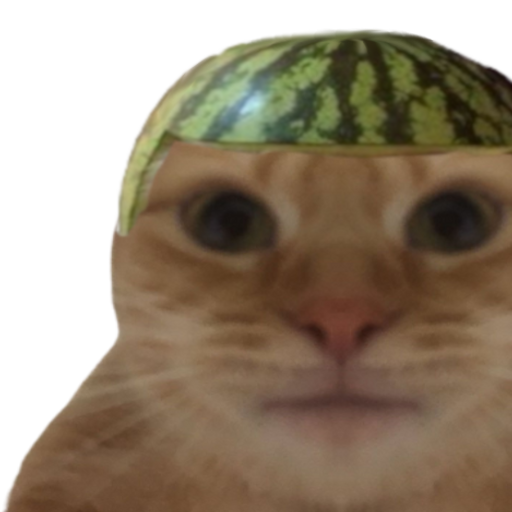 ChatFouroumeur