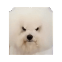 :Chientourne: