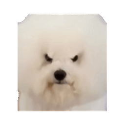 :Chientourne:
