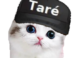 :Chat_tarer: