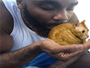 :chamelon: