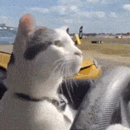 :Chat_drift:
