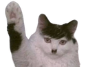 :Chazi: