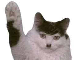 :Chazi: