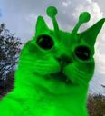 :gnarp: