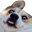 Photo de profil de medecinlegiste