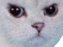 :Chat14: