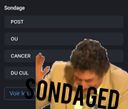 :SONDAGED_2: