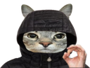 :CS_Explique: