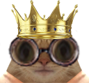 :ChatRoiLunettes: