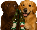 :teddibiere: