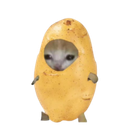 :Potato_cat: