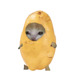 :Potato_cat: