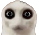 :Chat_not_ready_:
