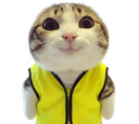 :chat_marrant_GJ: