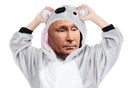 :Vladimir_P_Koala: