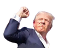 :celestrump: