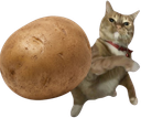 :chatpdt: