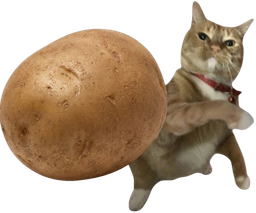 :chatpdt: