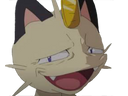 :miaouss_cynique: