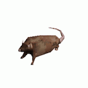 :rat-gif: