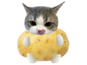 :ChatPatate: