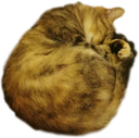 :Boule_de_poil_de_Leakytap: