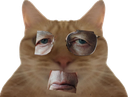 :Chat_schwab: