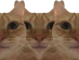 :chat_triple: